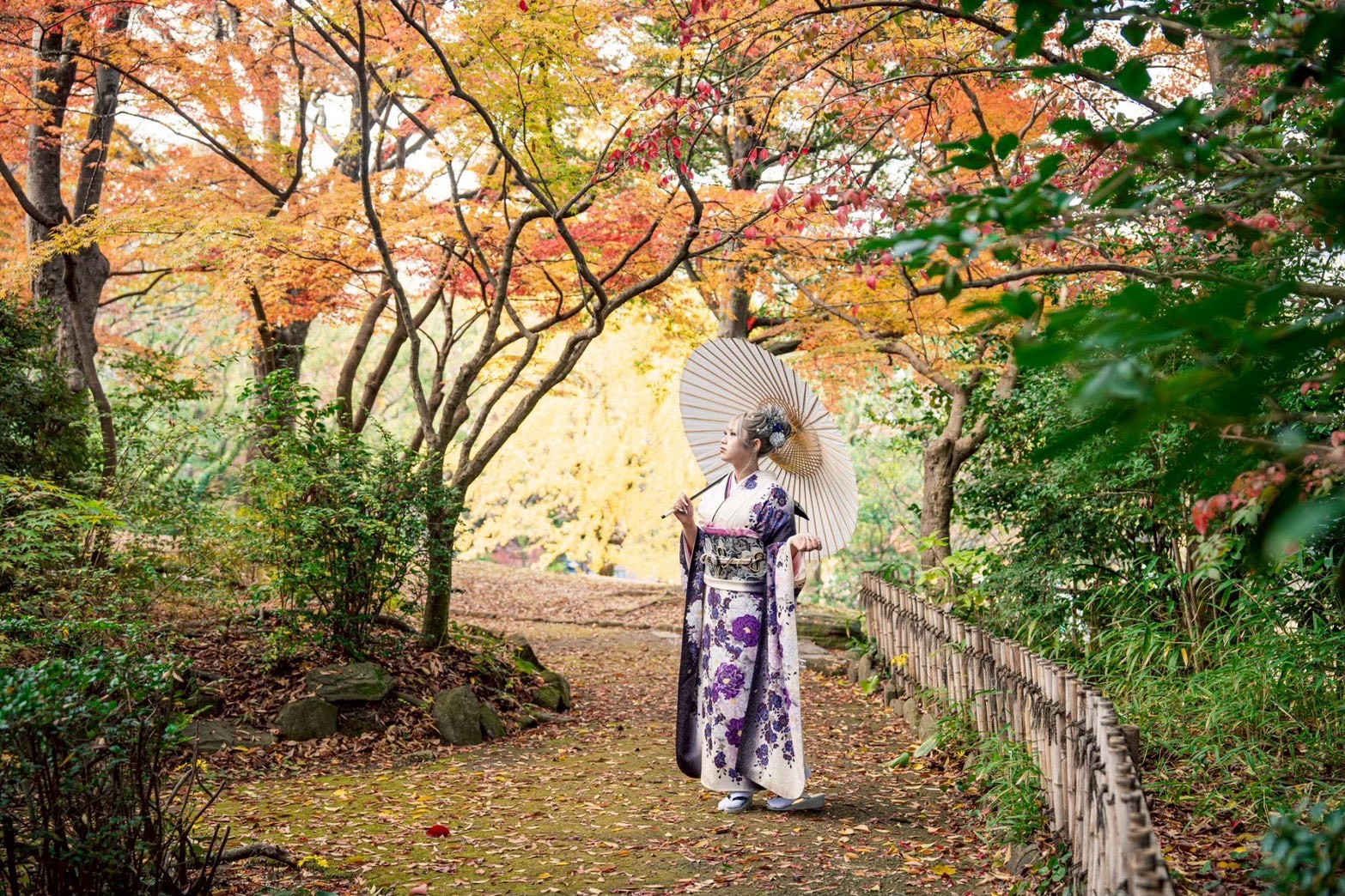 Kimono 7