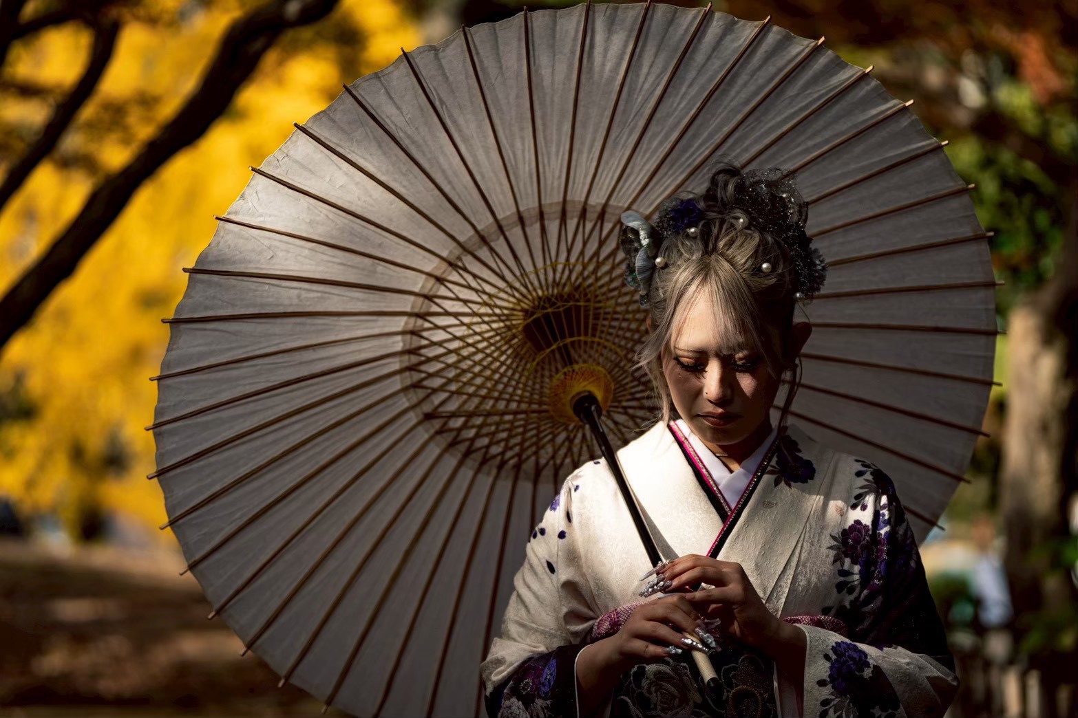 Kimono 6